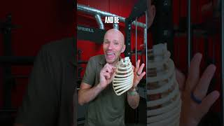 Why Pec Stretches Dont Work 💪 #mobility