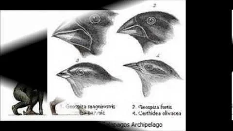 Evolution movie