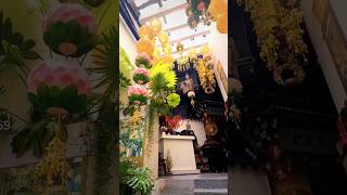 #xuhuongyoutube #yeucuocsong #lờidạycổnhân