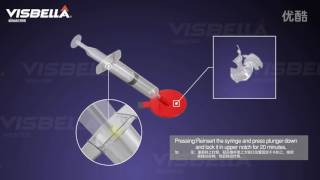 Visbella windscreen repair kit