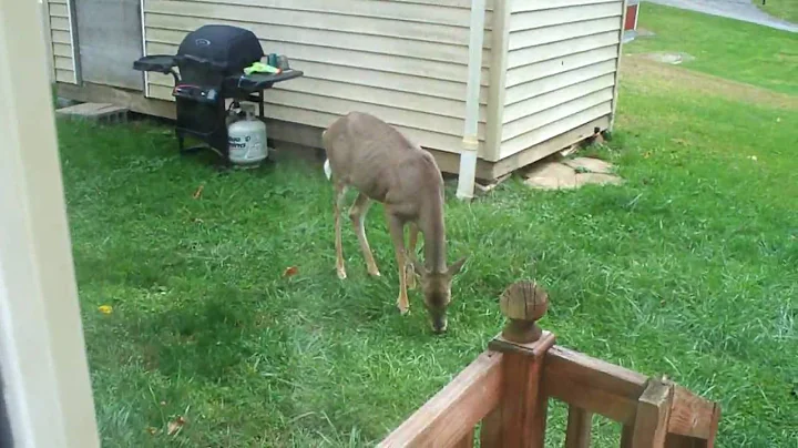 Beauty right in my back yard