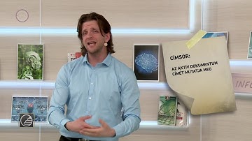 Érettségi 2017 - Informatika: Szövegszerkesztés 2.