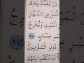 سورة ال عمران الأية 27 إلى 28 القارئ سعد الغامدي