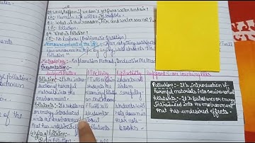 Macro lesson plan of science on topic- Pollution......| B.ed third sem