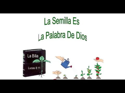 La Palabra de Dios como Semilla - Actividad - YouTube