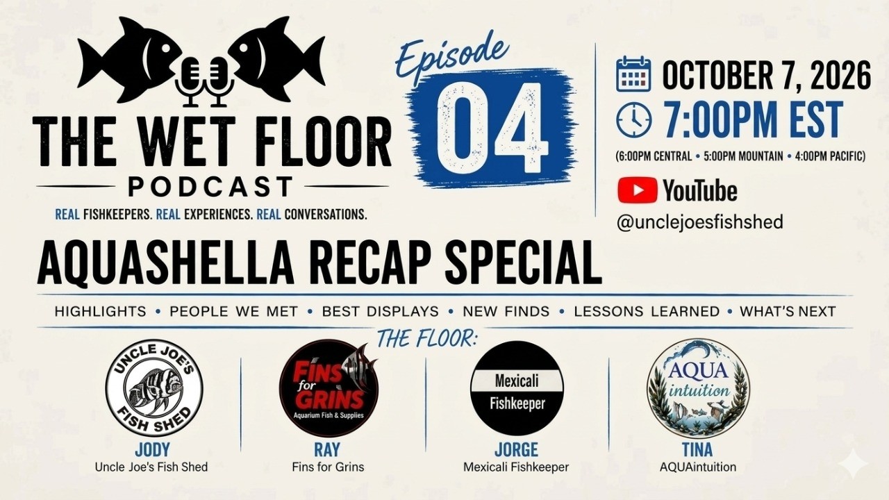 The Wet Floor Podcast