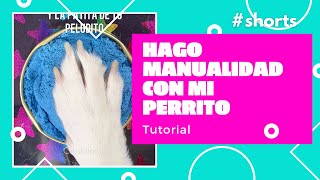 Hago Una Manualidad Con Mi Perrito Tenes Mascotas?