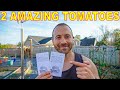 2 TOMATO PLANTS Everyone Should Grow For Amazing Taste And Production