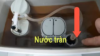 toilet treatment | Leaking toilet bowl