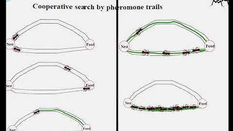 Optimization Algorithms :Literature Review on Nature Inspired Hybrid Optimization Algorithm