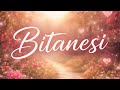 Bitanesi | Anatolian Psychedelic Rock AI Cover