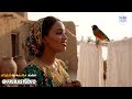 محمد النصري - طير الجني | توزيع ذكاء اصطناعي Ai 