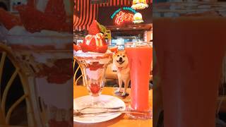 さわやかハンバーグでいちご