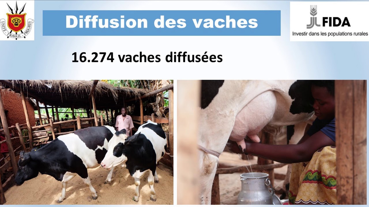 IFAD SUPPORTED PROJECTS IN BURUNDI