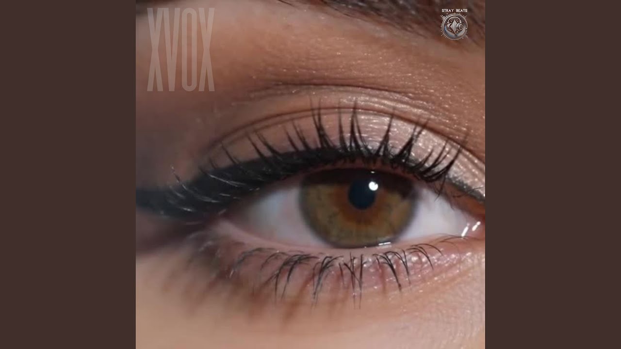 Watch XvoX on YouTube Watch XvoX on YouTube
