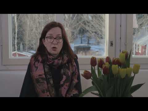 Kaksisuuntainen mielialahäiriö -