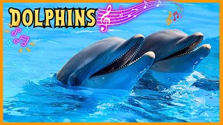 Dolphins (Smart & Friendly) Song for Kids #aisongs #toddlers #kindergarten #educational #dolphin