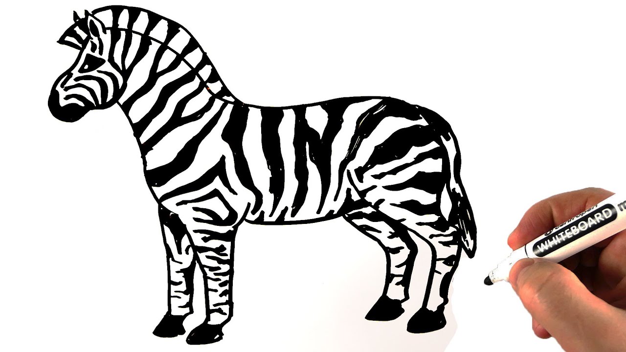 Aggregate 148+ zebra drawing for kids best - seven.edu.vn