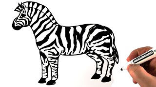 How To Draw A Zebra Easy 🦓 Drawing on a Whiteboard
