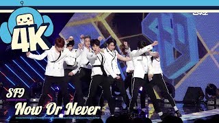 [4K & Focus Cam]  SF9 - Now or Never @Show! Music Core 20180818