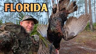 HUNTING TURKEYS ON FLORIDA PUBLIC LAND!! | Quickest hunt in history!