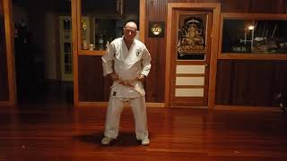 15 Isshinryu Karate upper body basics