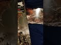 Ghost - Prequelle 5 Horses Acquired &amp; Compared!