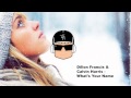 Dillon Francis Calvin Harris What S Your Name mp3