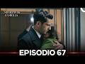 Segreti Di Famiglia Episodio 67 (Doppiaggio in italiano)