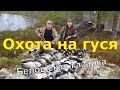 Охота на северного гуся 2ч  Архангельская область