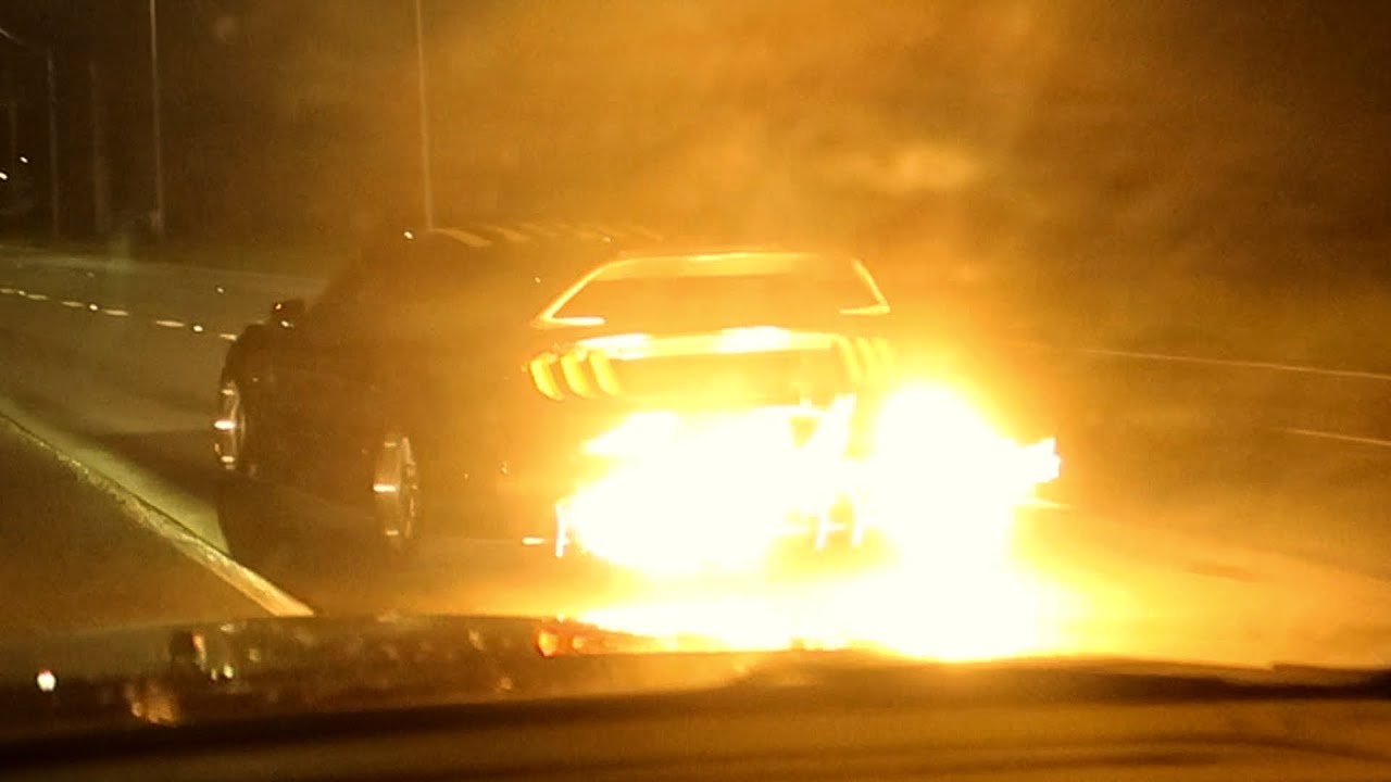 САМЫЕ ГРОМКИЕ «МУСТАНГИ» ЗАХВАТЫВАЮТ ГОРОД!