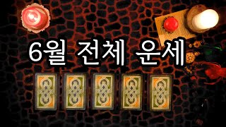 [타로카드] 6월 전체 운세