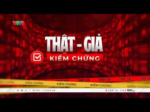 Fact vs. Fiction: Exposing Deepfake Impersonations of TV Anchors | VTV24