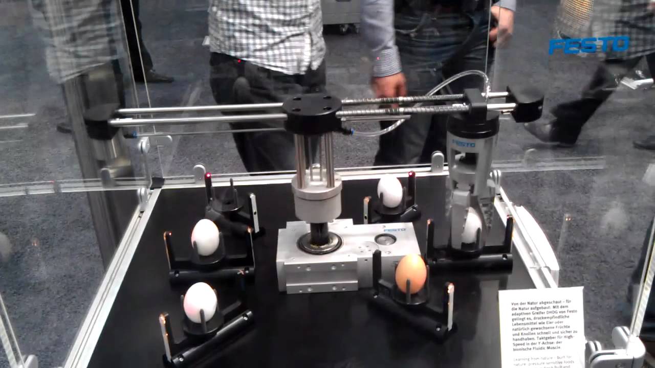 A very fast egg handling robot from Festo.