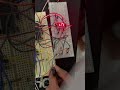 7-segment LED display &amp; Optical sensor testing