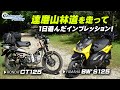 【達磨山林道 ツーリング】ハンターカブとBw's125（ビーウィズ）林道を走って比較インプレ！/ Motorcycle Fantasy