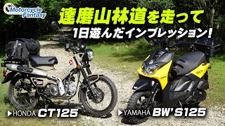 【達磨山林道 ツーリング】ハンターカブとBw's125（ビーウィズ）林道を走って比較インプレ！/ Motorcycle Fantasy