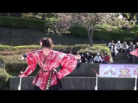 静峰 八重桜まつり 舞桜龍舞連
