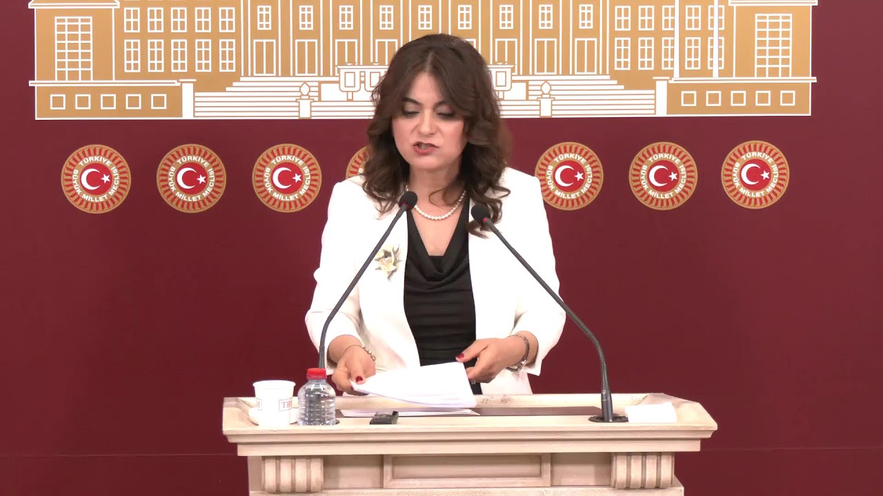 Grup Başkanvekilimiz Gülistan Kılıç Koçyiğit, Meclis’te açıklama yapıyor