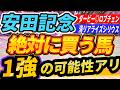 【安田記念】混戦じゃなく1強？◎雨でも上位評価する『絶対に買う馬』【Part1】