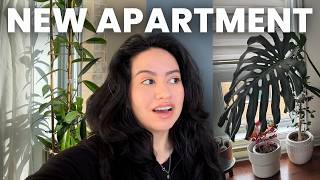 Download Lagu Houseplant Tour January 2026 ❄️ (new apartment, less plants) MP3