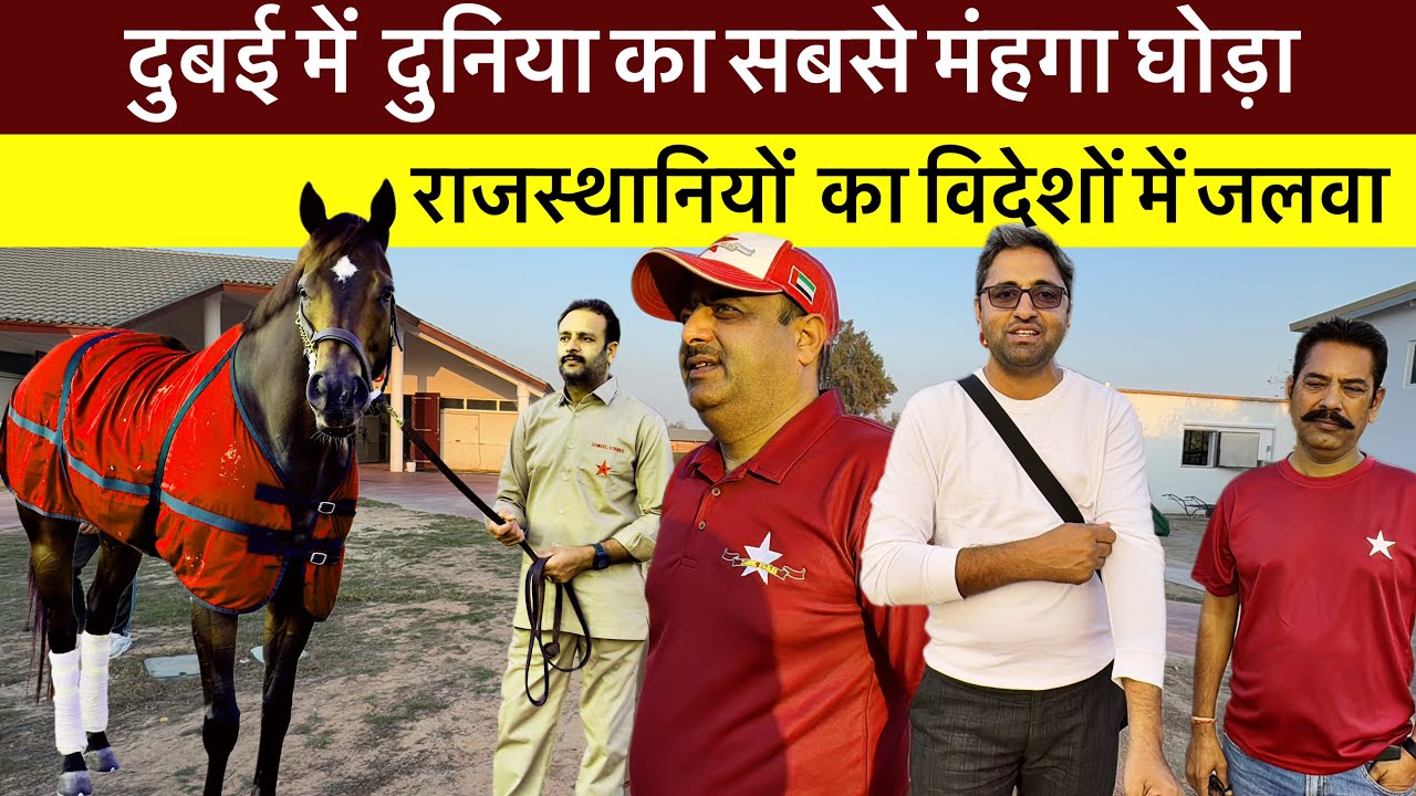 दुनिया का सबसे महँगा रेस जीतने वाले घोड़े को देख आप भी अचम्भित रहे जाओगे