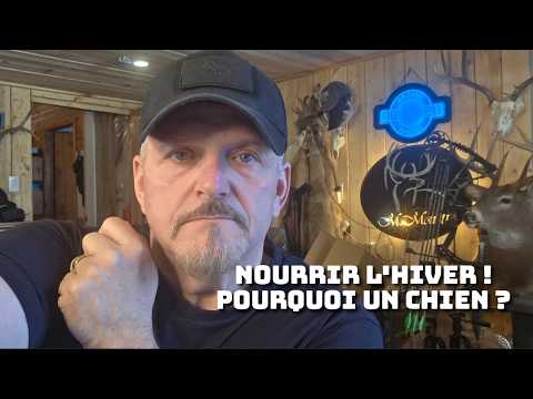 19 Fev 2139 ON JASE  NOURRIR L HIVER -  POURQUOI UN CHIEN