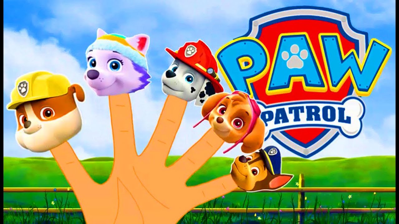 Paw patrol Finger Family Nursery Rhymes YouTube