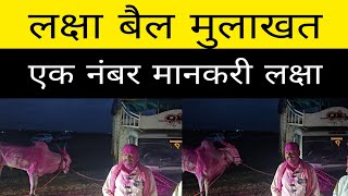आज विठ्ठल केसरी मैदानाचा मानकरी एक नंबर लक्षा आणि सचिन