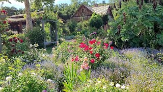 Walking tour of Descanso Gardens in Los Angeles California