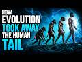 🌙 How Evolution Took Away the Human Tail | Relaxing Sleep, Study &amp; Calm Ambience 🧬✨