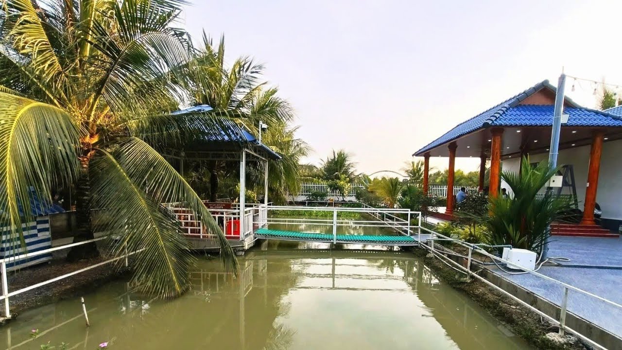 Tập 4387 : Tuổi già yếu buộc lòng nhượng lại khu nhà vườn vô cùng tâm huyết