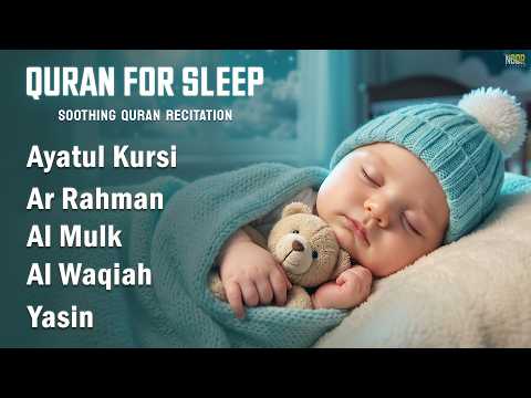 Soothing Quran for Deep Sleep | Ayatul Kursi, Ar Rahman, Al-Mulk, Yasin, Al-Waqiah - Alaa Aqel