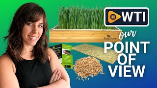 ZESTIGREENS Cat Grass Kits | Our Point Of View